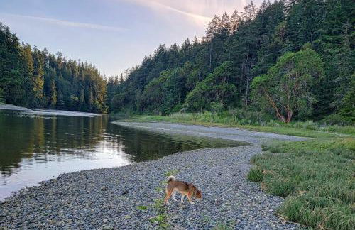 Port Townsend Kala Point - Foto 32