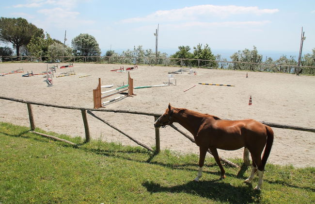 Agriturismo Piccolo Paradiso - Foto 35