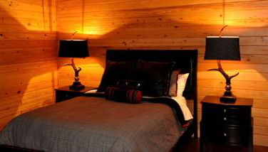 Idyllic Vacation Cabin Perched on Beaver Lake in Arkansas - Foto 3