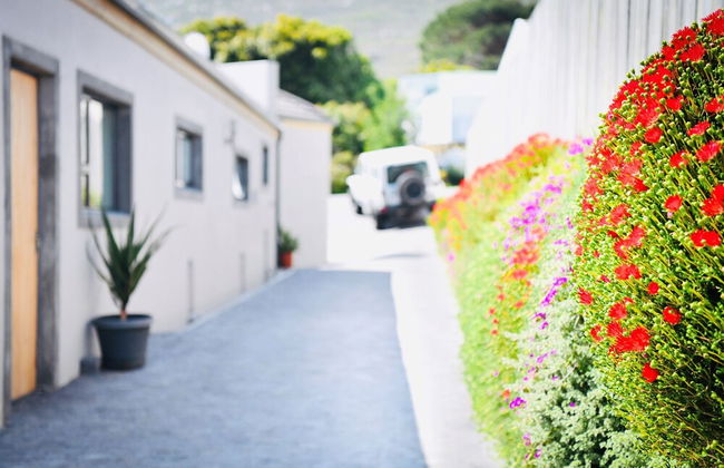 Haven Point Accomodation - Foto 31