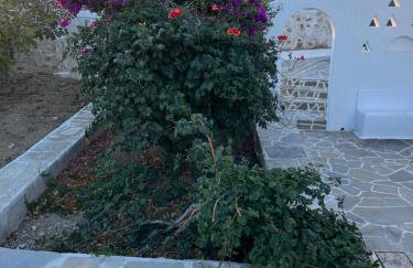 Lina's House - Foto 6