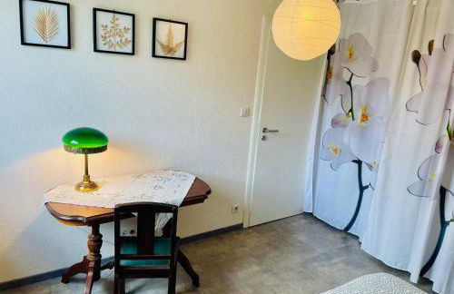 Chez L en Alsace Maison indépendante 8 pers Jardin & Cour privative - Photo 20