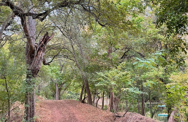 Son's Rio Cibolo - Glamping Cabin G - Foto 25