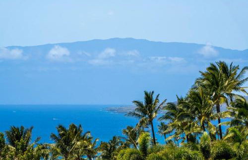 Hapuna Modern House at Mauna Kea - Foto 42