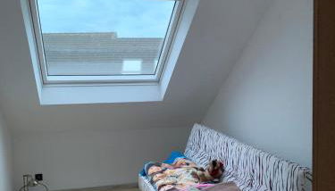 Geräumige Dachgeschosswohnung - Foto 4