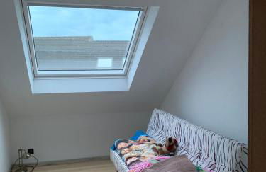 Geräumige Dachgeschosswohnung - Foto 4