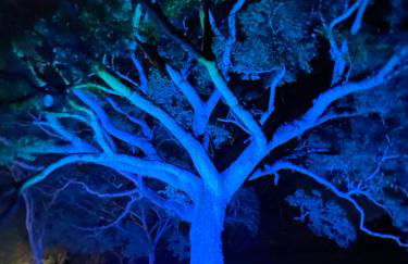 Pousada Rio Gouveia - Foto 100