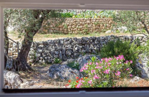 Olive Garden Apartment - Photo 23