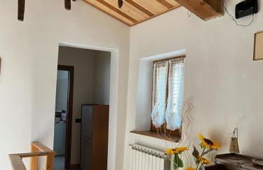 THE DORMOUSE - Il Ghiro - Foto 19