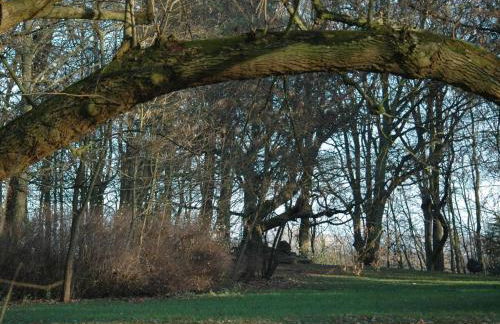 Jadgschloss zu Hohen Niendorf - Photo 13