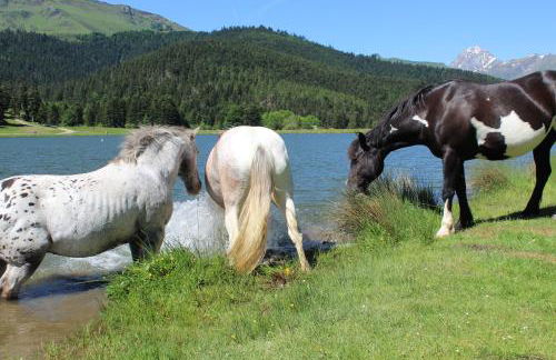 Appartement Lac de Payolle - Foto 16
