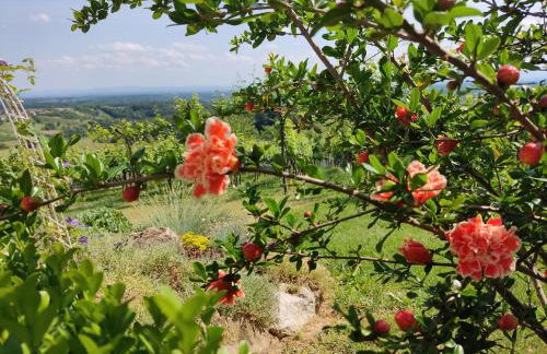 Villa Lotus - Foto 40