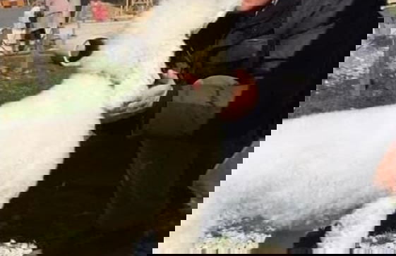 Apartment Red House - Foto 36