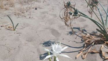 villa Toni - Photo 5