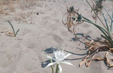 villa Toni - Photo 5