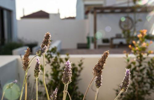 Vida na Vila - Photo 5