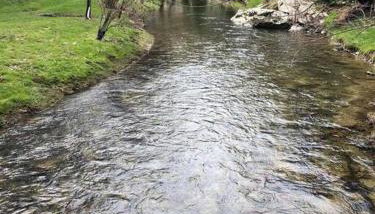 LUXURY!! Hot Tub, Pool Table, River & Petting zoo? - Foto 3