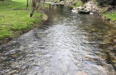 LUXURY!! Hot Tub, Pool Table, River & Petting zoo? - Foto 3