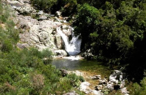 Casa das Catrinas - Photo 18