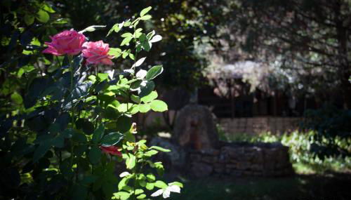 Résidence Marina Livia - Foto 3, Garden