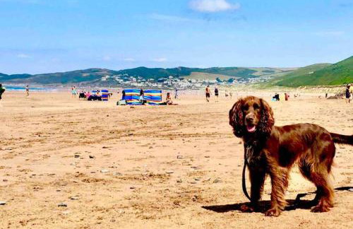 Stockwood Holiday Bungalow - Foto 17