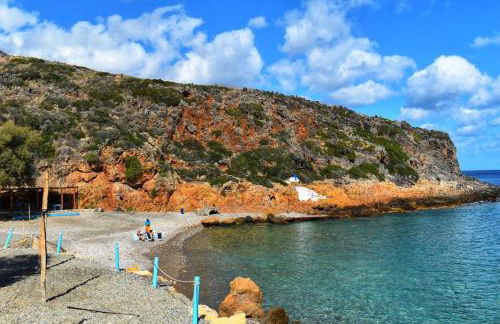 The Green Home - Foto 54