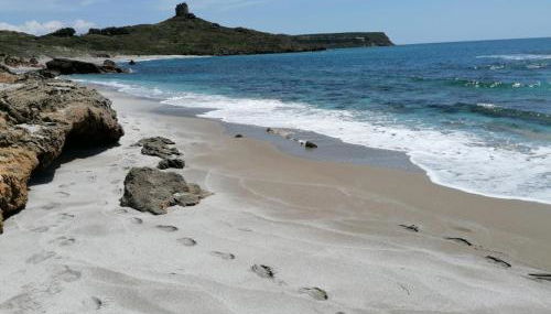 Il Verde Ulivo - Photo 4