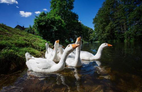 Gutshof Dragefeld - Foto 30