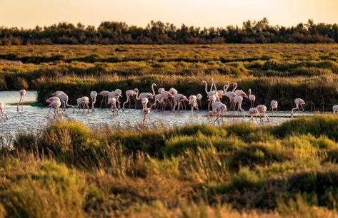 Le 255-côté jardin - Photo 17