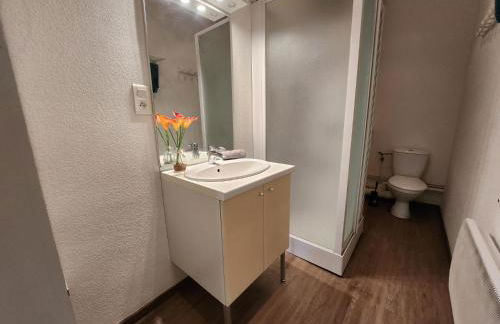 Gite Bruyère, 2 à 5 personnes avec salle de jeux et SPA dans la résidence - Foto 13