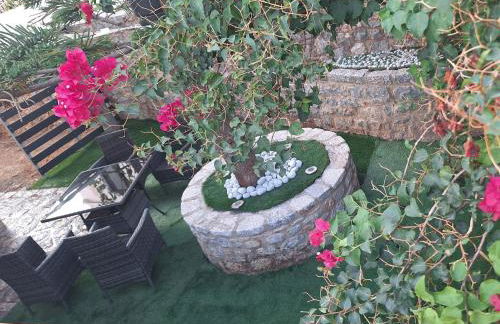 Casa Terra Mani - Photo 23