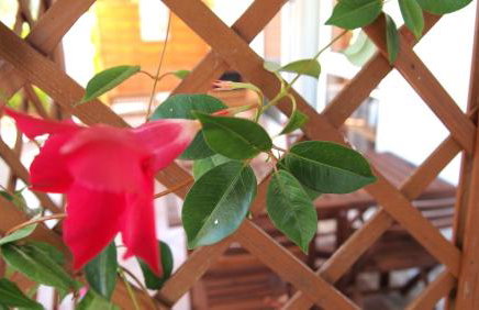 Studio apartment Gray - Foto 18