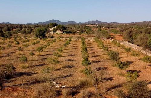 Blue Door Mallorca - Foto 18