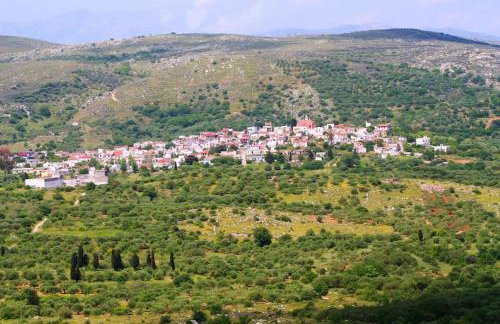 Creta guesthouse ARXONTIKO! - Foto 51