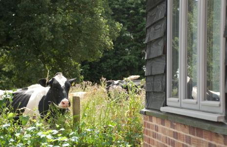 Bull Farm Studios - Foto 11