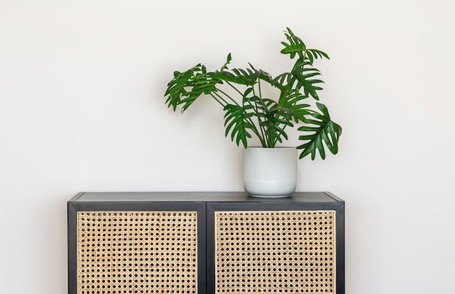 Solaris 25 m to the Beach by Renters - Photo 30