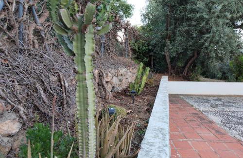 Los Tréboles - Foto 7