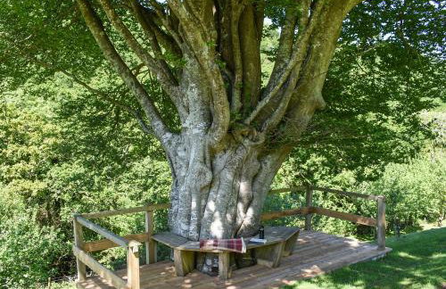 Woodland Retreat - Foto 30