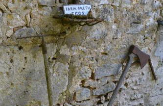 Gîte de charme proche du Zoo Beauval et Châteaux - Photo 64