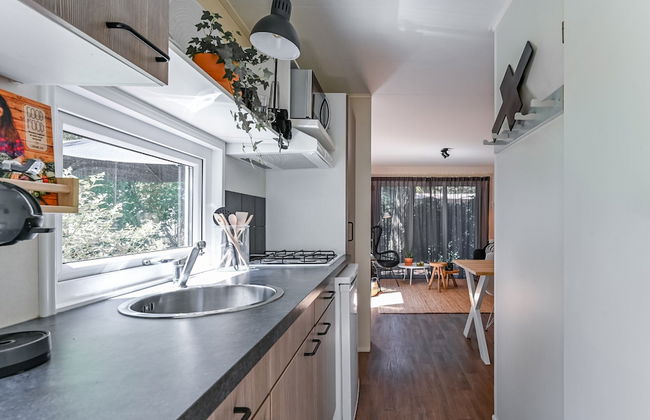 Modern Chalet in Voorthuizen Near the Forest - Photo 9