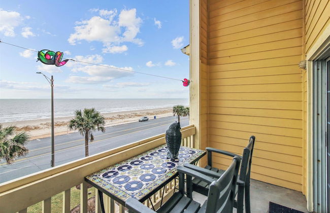 Dawn 1037 - The Regal Seagull - Photo 1