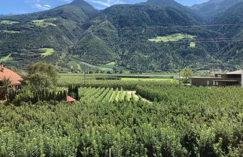 Pixnerhof - Ferienwohnung Golden - Foto 30