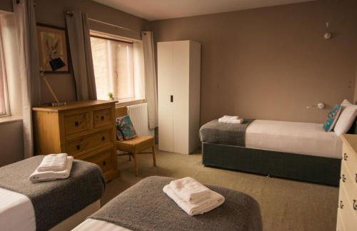 The Allendale Wolf - Foto 27