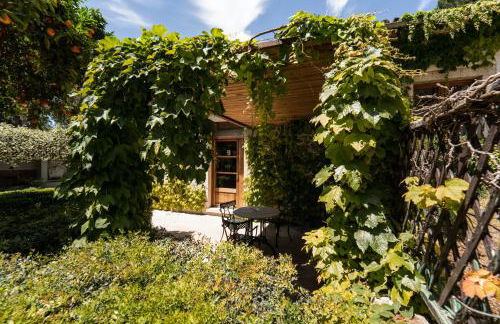 Alfabia Nou Agroturismo - Foto 47