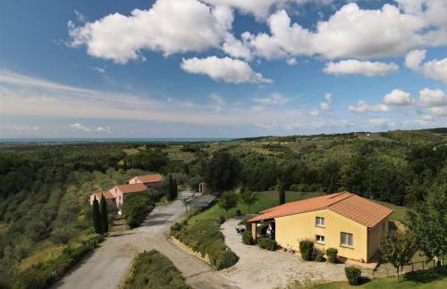 Apartment Il Felciaione-18 by Interhome - Foto 4