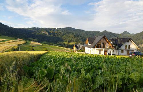 Domek/apartament Przekop - Foto 8