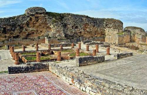 Casa Monte Alegre - Foto 27