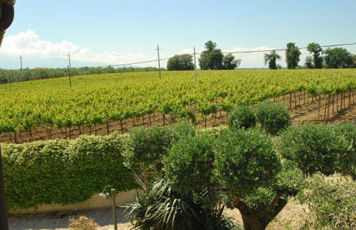 Agriturismo Villa Vetiche - Foto 39