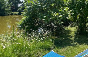 La Maison de l'étang - Foto 27