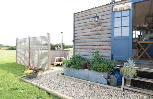Shepherd's Hut- Hot Tub- Wellness Spa- Wood Burner - Foto 47
